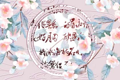 青睐网