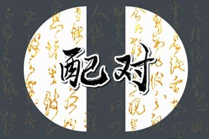 青睐网