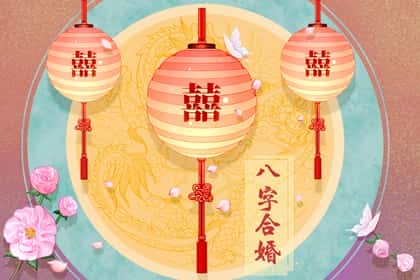 青睐网
