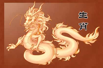 青睐网