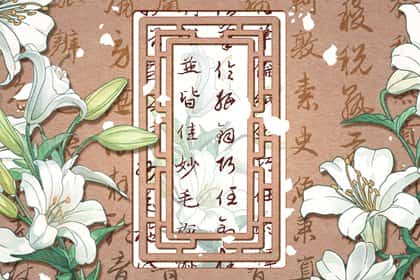 属鼠和属猪的人，属鼠的和属猪的犯冲吗
