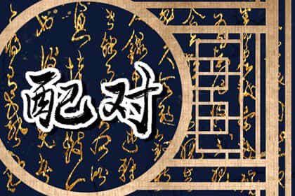 青睐网