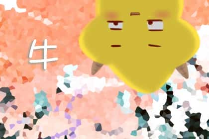 青睐网