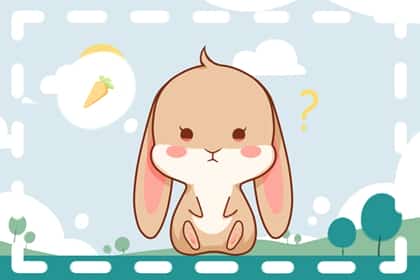 青睐网