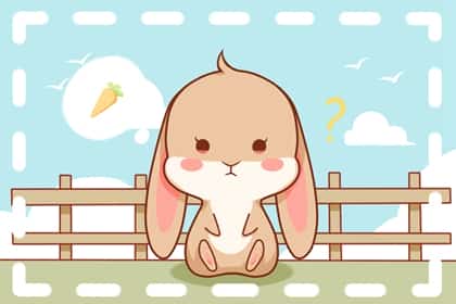 青睐网