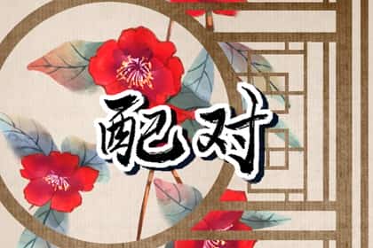 青睐网
