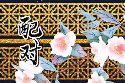青睐网