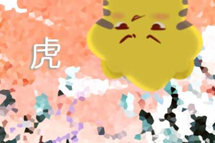 青睐网