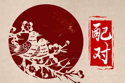 青睐网
