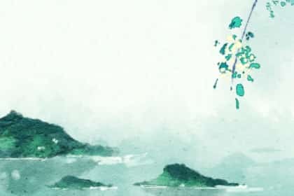 青睐网