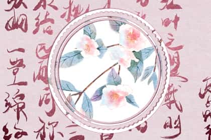 三两二钱女命实例，三两二钱女命大白话详解