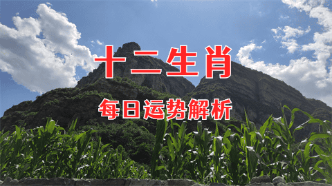 2024年5月18日今日十二生肖运势