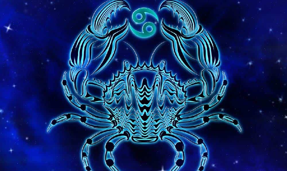 青睐网