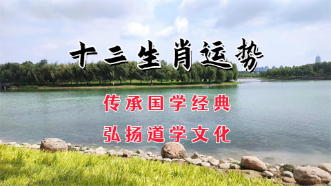 2024年5月8日今日十二生肖运势