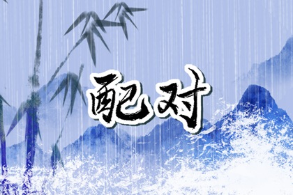 青睐网