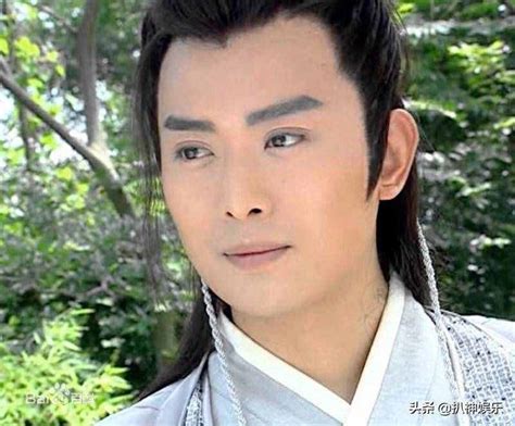 黄海冰笑傲江湖（黄海冰是谁？）