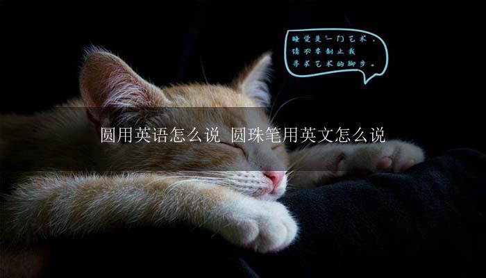 圆用英语怎么说 圆珠笔用英文怎么说？