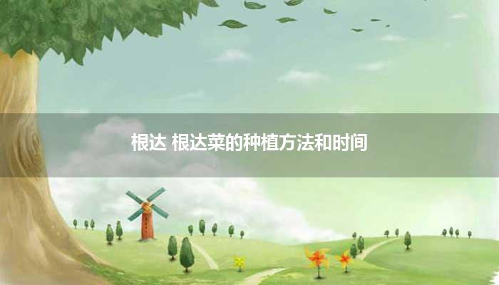根达 根达菜的种植方法和时间
