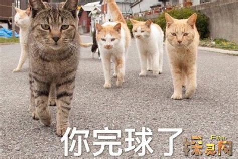 芭比Q什么意思网络流行语,意思就是完了无力回天