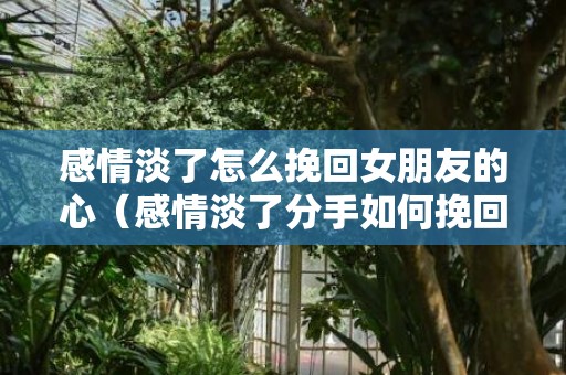 感情淡了怎么挽回女朋友的心（感情淡了分手如何挽回最有效）