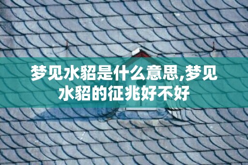 梦见水貂是什么意思,梦见水貂的征兆好不好