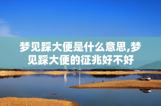 梦见踩大便是什么意思,梦见踩大便的征兆好不好