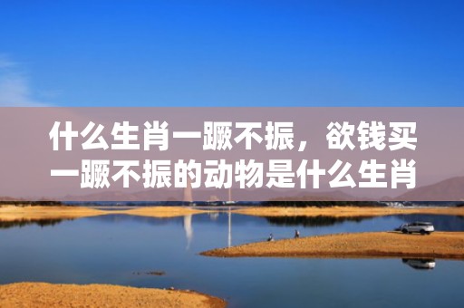 什么生肖一蹶不振，欲钱买一蹶不振的动物是什么生肖