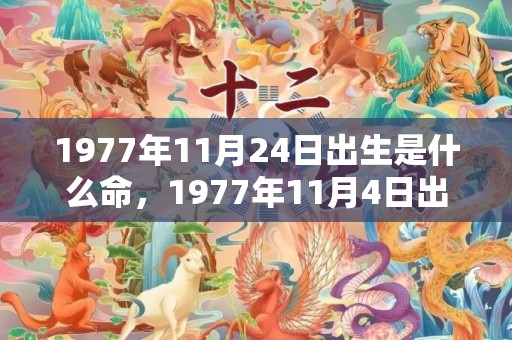 1977年11月24日出生是什么命，1977年11月4日出生的人命好吗