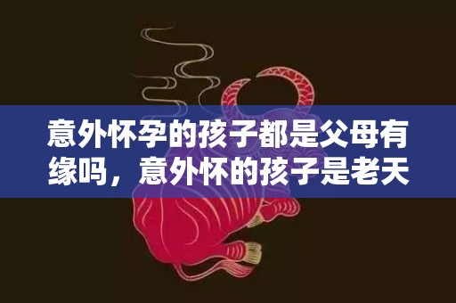 意外怀孕的孩子都是父母有缘吗，意外怀的孩子是老天送来的