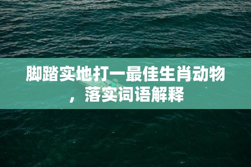 脚踏实地打一最佳生肖动物，落实词语解释