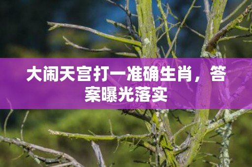 大闹天宫打一准确生肖，答案曝光落实