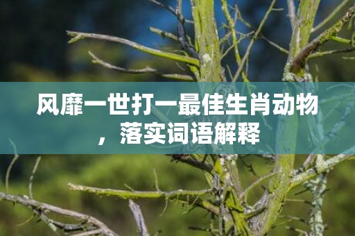 风靡一世打一最佳生肖动物，落实词语解释