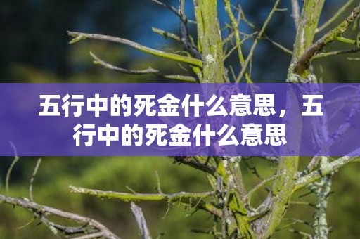 五行中的死金什么意思，五行中的死金什么意思
