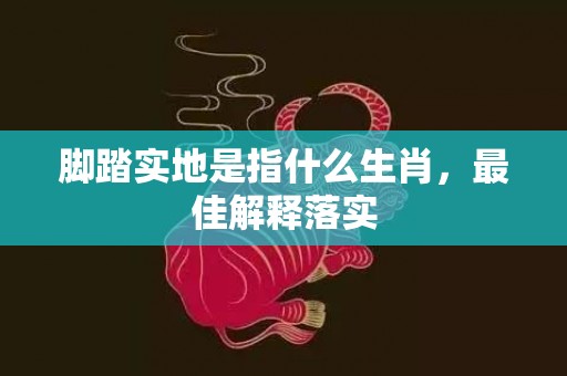脚踏实地是指什么生肖，最佳解释落实