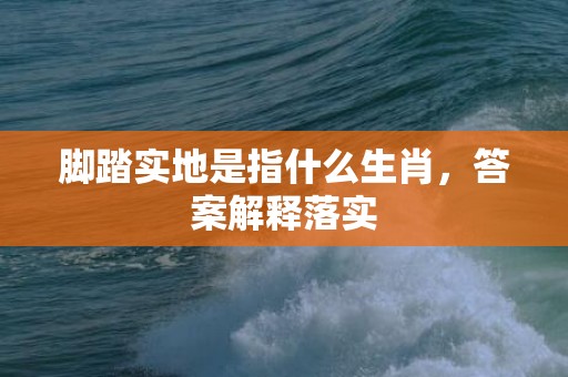 脚踏实地是指什么生肖，答案解释落实