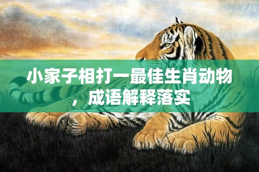 小家子相打一最佳生肖动物，成语解释落实