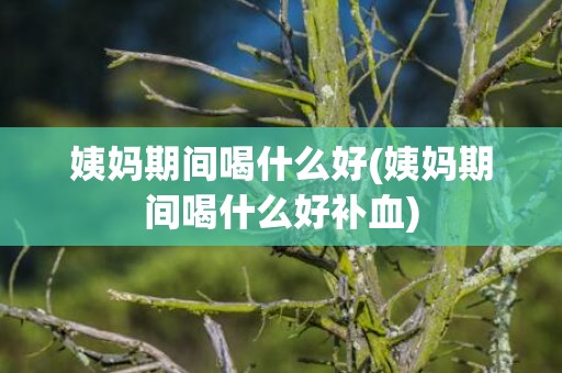 姨妈期间喝什么好(姨妈期间喝什么好补血)