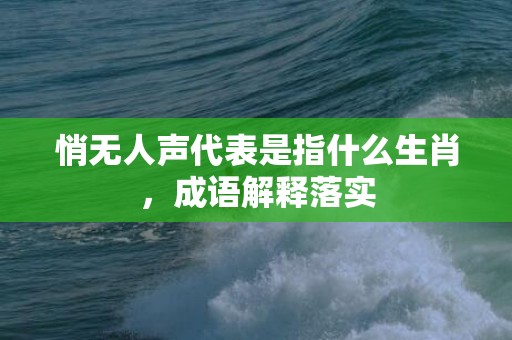 悄无人声代表是指什么生肖，成语解释落实