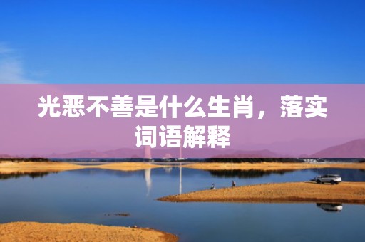 光恶不善是什么生肖，落实词语解释