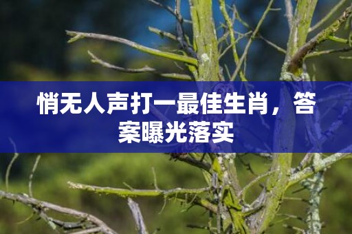 悄无人声打一最佳生肖，答案曝光落实