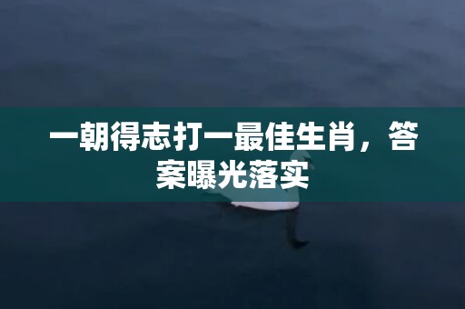 一朝得志打一最佳生肖，答案曝光落实