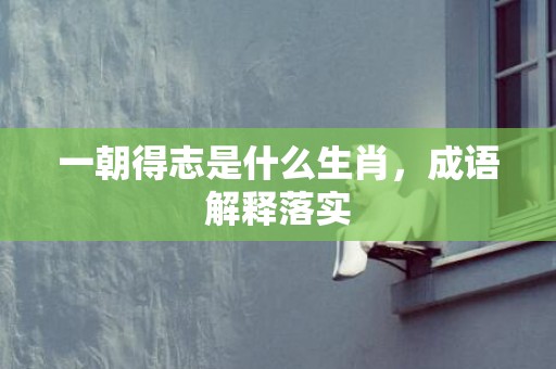一朝得志是什么生肖，成语解释落实