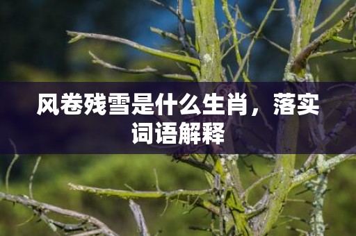 风卷残雪是什么生肖，落实词语解释