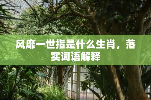 风靡一世指是什么生肖，落实词语解释