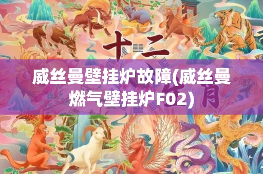 威丝曼壁挂炉故障(威丝曼燃气壁挂炉F02)