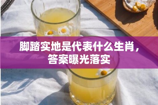脚踏实地是代表什么生肖，答案曝光落实