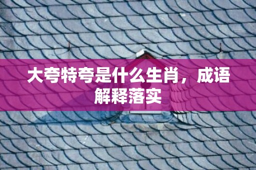 大夸特夸是什么生肖，成语解释落实