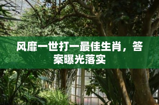 风靡一世打一最佳生肖，答案曝光落实