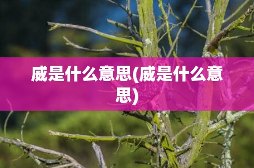 威是什么意思(威是什么意思)