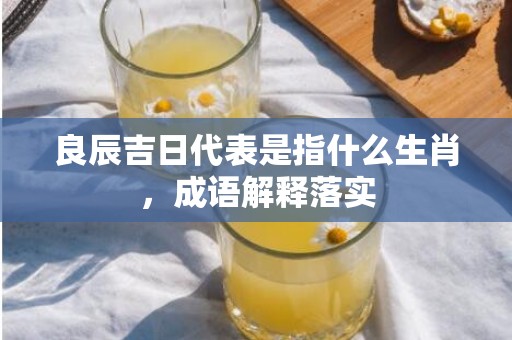 良辰吉日代表是指什么生肖，成语解释落实